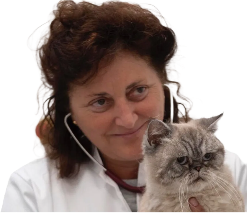La Dott.ssa Antonella Caggegi durante una visita, con un gatto in braccio